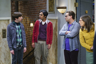 The Big Bang Theory (T9)