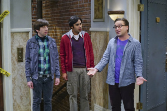The Big Bang Theory (T9)