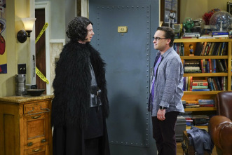 The Big Bang Theory (T9)