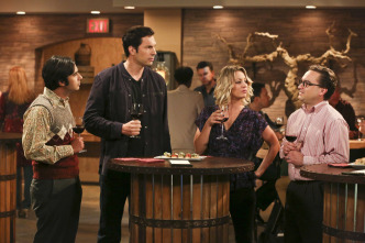 The Big Bang Theory (T9)
