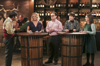 The Big Bang Theory (T9)