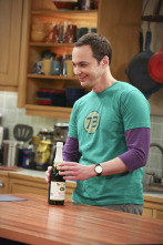 The Big Bang Theory (T9)
