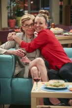 The Big Bang Theory (T9)