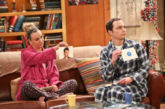 The Big Bang Theory (T9)