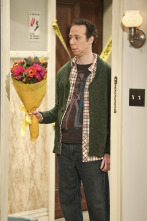 The Big Bang Theory (T9)