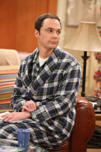 The Big Bang Theory (T9)