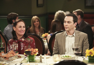 The Big Bang Theory (T9)