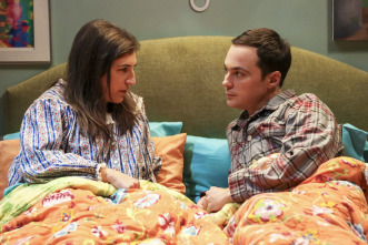 The Big Bang Theory (T10): Ep.4 La experimentación de la cohabitación