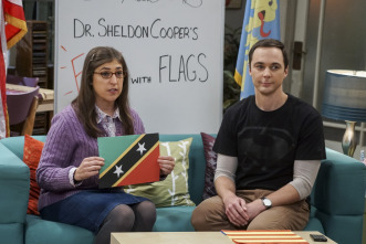 The Big Bang Theory (T10): Ep.7 La elasticidad de la veracidad