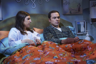 The Big Bang Theory (T10): Ep.7 La elasticidad de la veracidad