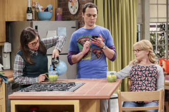The Big Bang Theory (T10): Ep.8 La incubación del cerebro en un bol