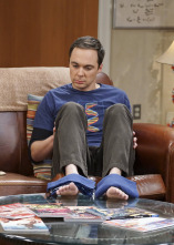 The Big Bang Theory (T10): Ep.9 La elevación de la geología