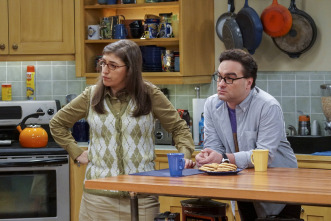 The Big Bang Theory (T10): Ep.9 La elevación de la geología