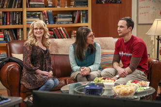 The Big Bang Theory (T10): Ep.12 El resumen de las fiestas