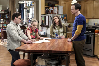 The Big Bang Theory (T10): Ep.13 La regulación del amor