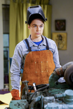 The Big Bang Theory (T10): Ep.15 La reverberación de la locomoción
