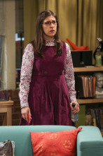 The Big Bang Theory (T10): Ep.16 La evaporación de la asignación