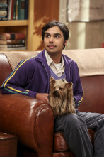 The Big Bang Theory (T10): Ep.18 La identificación de la escotilla de escape