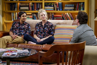 The Big Bang Theory (T10): Ep.19 La fluctuación de la colaboración