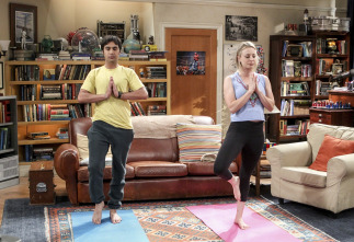 The Big Bang Theory (T10): Ep.19 La fluctuación de la colaboración