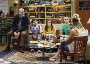 The Big Bang Theory (T10): Ep.21 La agitación de la separación