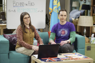 The Big Bang Theory (T10): Ep.21 La agitación de la separación