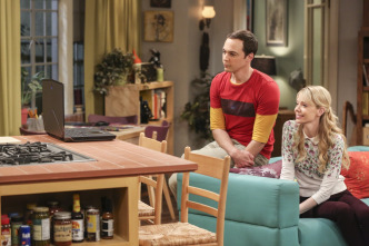 The Big Bang Theory (T10): Ep.24 La disonancia de la larga distancia