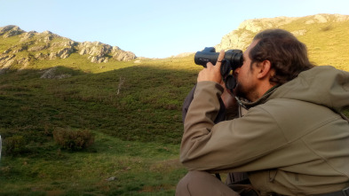 Imagen de Monteses entre rebecos - 3