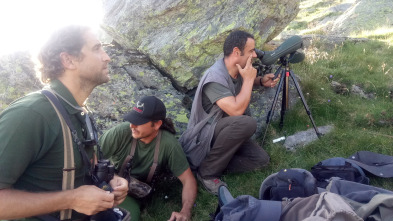 Imagen de Monteses entre rebecos - 4