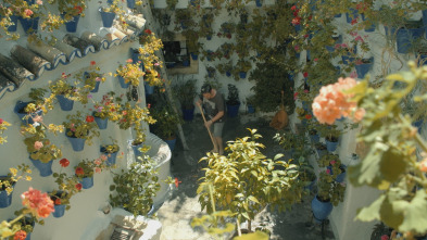 Imagen de Streetviú (T2) - 5