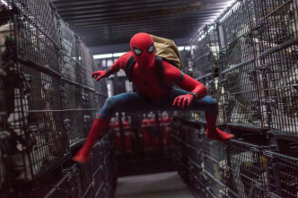 Imagen de (LSE) - Spider-Man: Homecoming - 6