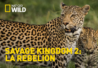 Imagen de Savage Kingdom 2: La rebelión  - 2