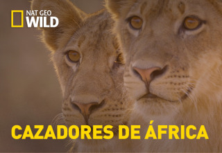 Cazadores de África: Los juicios de Olimba