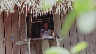 Imagen de A las puertas del...: Amenazados - Amazona brasileña - 6