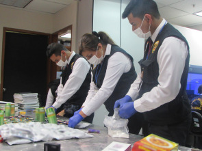 Imagen de Alerta Aeropuerto 3: Perú  - 6