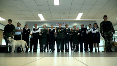 Imagen de Alerta Aeropuerto 3: Perú  - 11