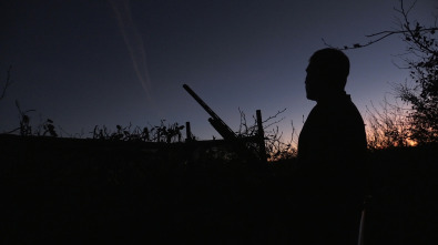 Imagen de A merced del viento - 2