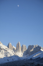 Wild Chile 