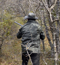 Imagen de Becadas, un regalo del invierno - 1