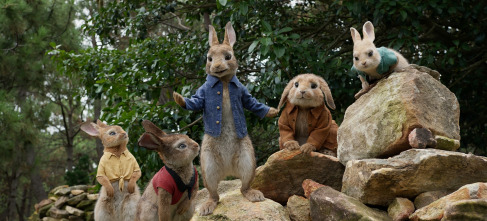 Peter Rabbit