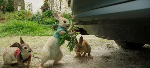 Peter Rabbit