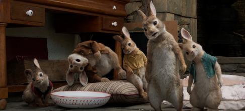 Peter Rabbit