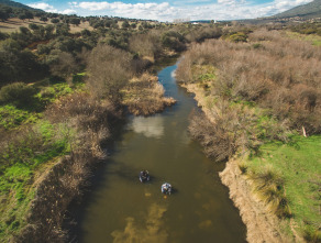 Imagen de Lucios en aguas tomadas - 4