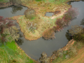 Imagen de Lucios en aguas tomadas - 5