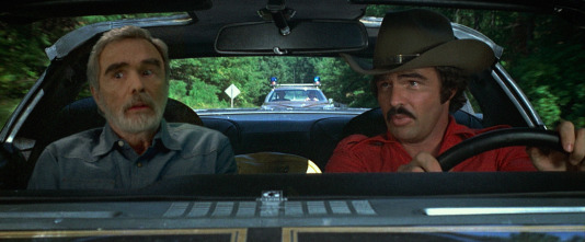 Imagen de La última gran estrella - 9