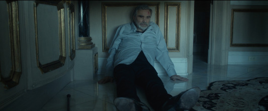 Imagen de La última gran estrella - 14