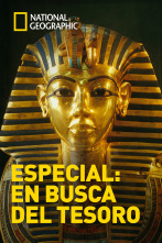 Imagen de Especial: En busca del tesoro - 1