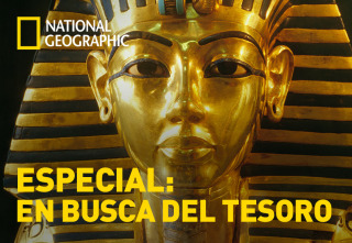 Imagen de Especial: En busca del tesoro - 2