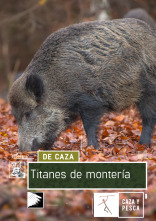 Imagen de Titanes de montería - 1