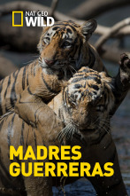 Madres guerreras